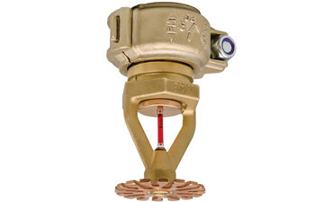 Fire Sprinkler System - Pendent